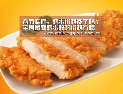 皇冠体育官网
