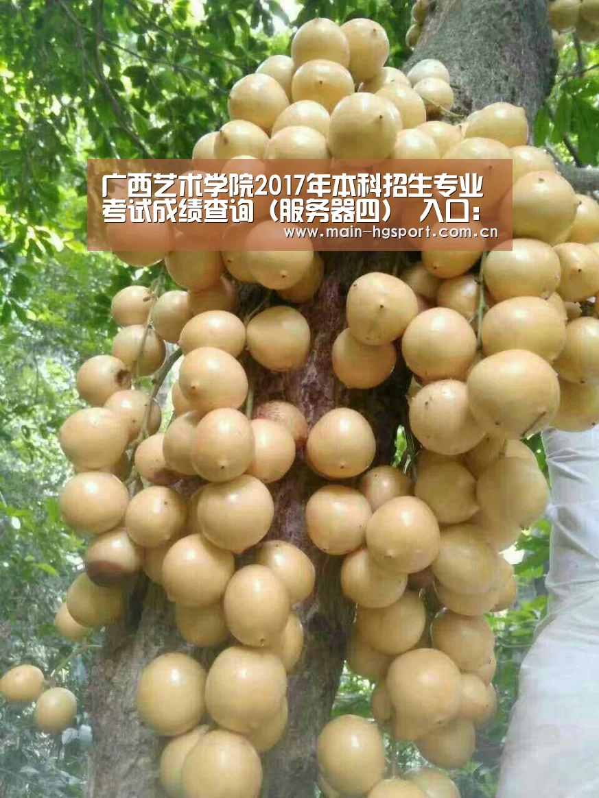 广西艺术学院2017年本科招生专业考试成绩查询（服务器四） 