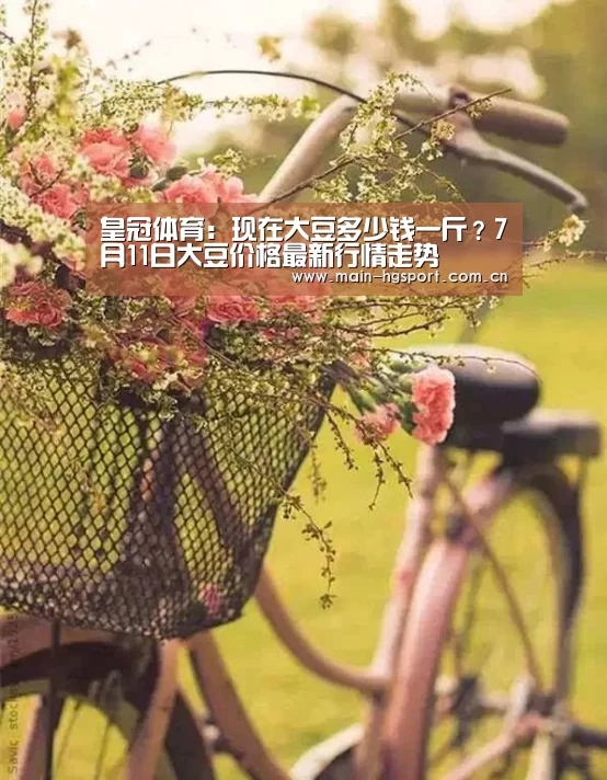 皇冠体育:现在大豆多少钱一斤?7月11日大豆价格最新行情走势(图3) 皇冠体育