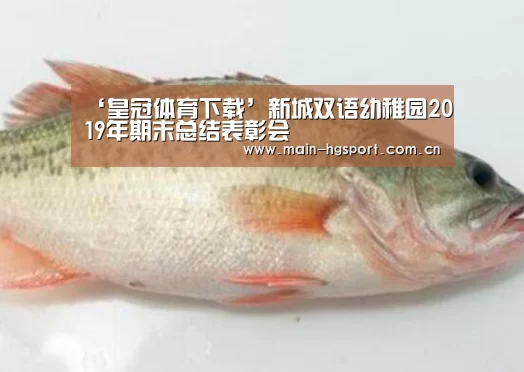 ‘皇冠体育下载’新城双语幼稚园2019年期末总结表彰会
