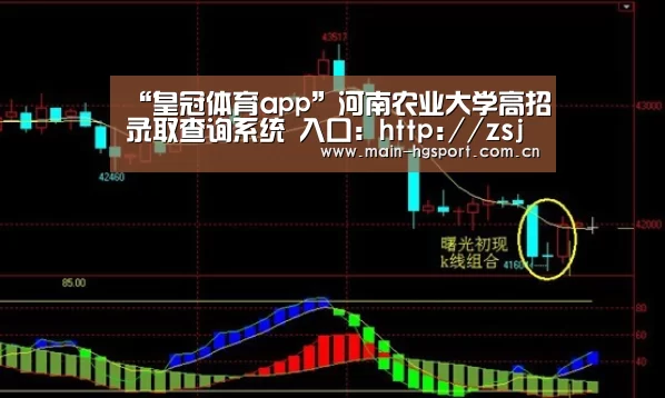 “皇冠体育app”河南农业大学高招录取查询系统 入口:http://zsjyc.henau.edu.cn/zhaosheng/cx/ind(图4) 皇冠体育app