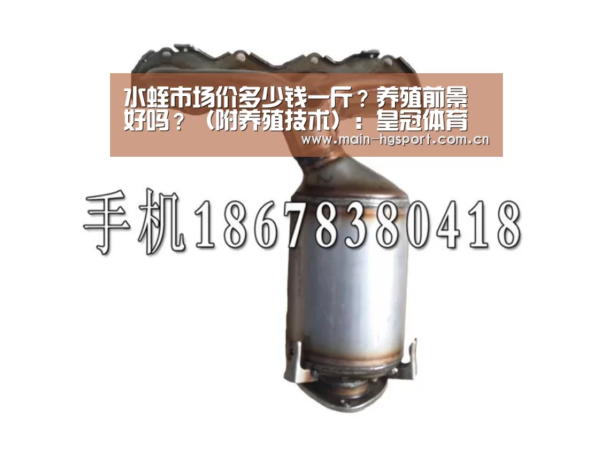 皇冠体育app
