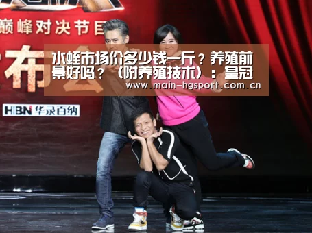皇冠体育官网
