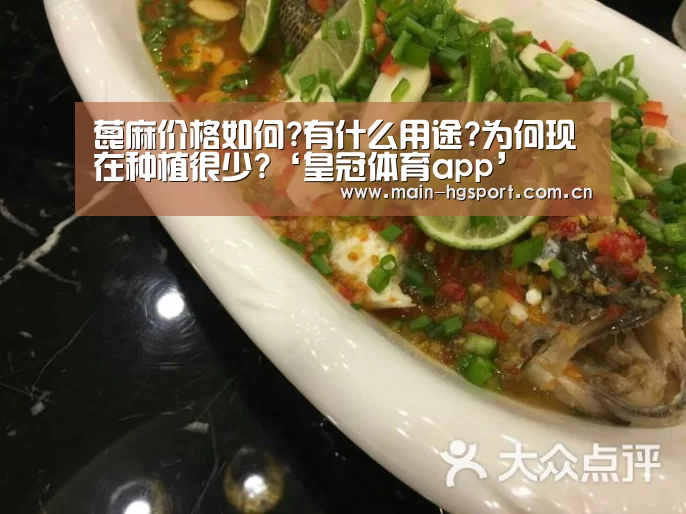 皇冠体育app