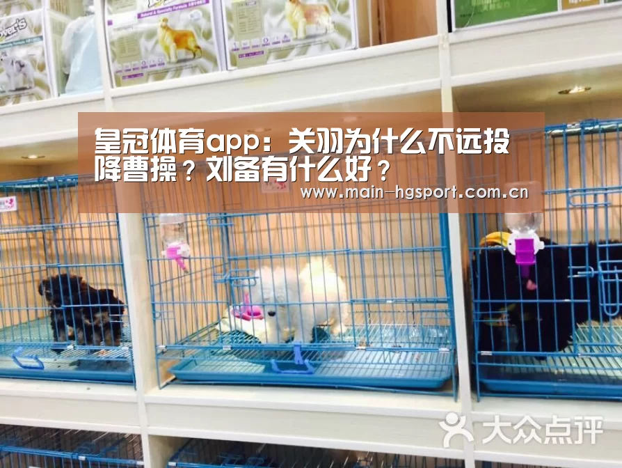 皇冠体育app:关羽为什么不远投降曹操?刘备有什么好?(图2) 皇冠体育官网