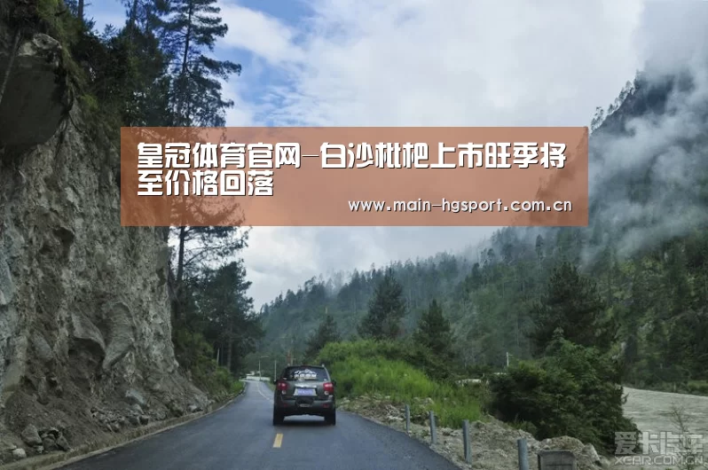 皇冠体育下载