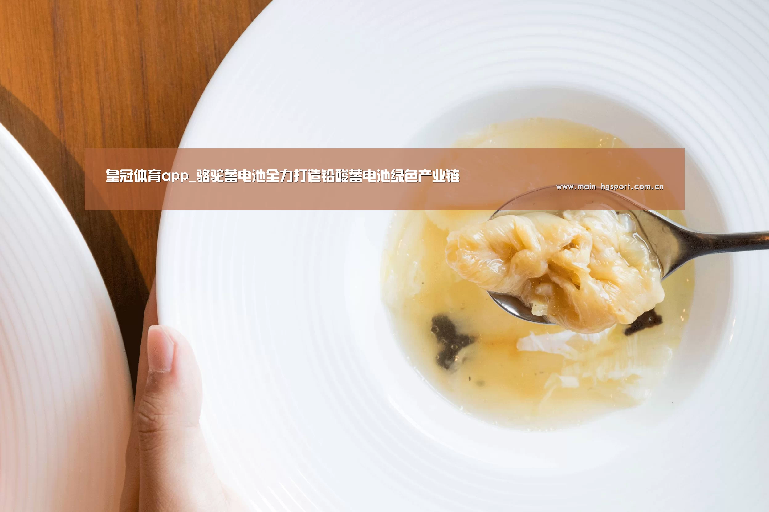 皇冠体育app_骆驼蓄电池全力打造铅酸蓄电池绿色产业链(图2) 皇冠体育官网