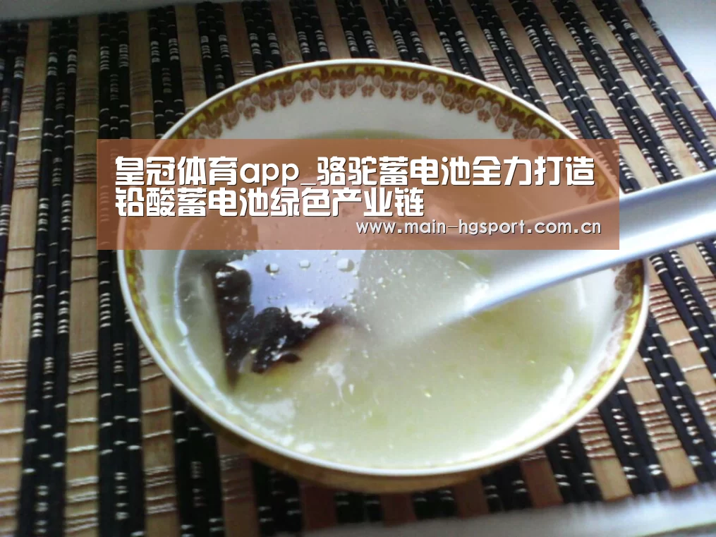 皇冠体育app_骆驼蓄电池全力打造铅酸蓄电池绿色产业链(图3) 皇冠体育下载