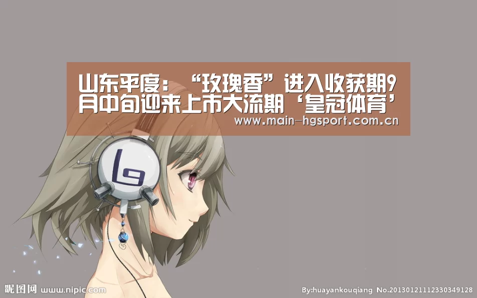 山东平度:“玫瑰香”进入收获期9月中旬迎来上市大流期‘皇冠体育’(图1) 皇冠体育官网